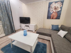 Morii Lake Special Apartment